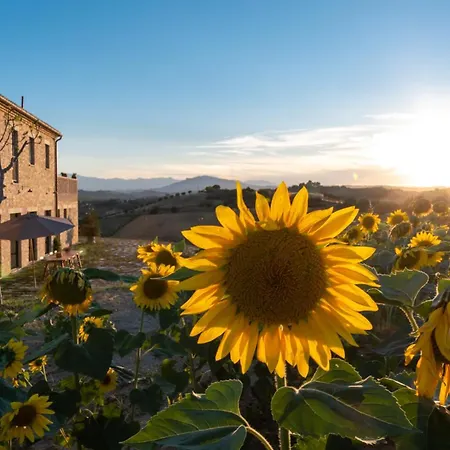 La Buona Maniera 10, Emma Monteprandone